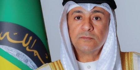 البديوي يرحب بإقرار "إعلان نيويورك" الخاص بحل الدولتين - هرم مصر