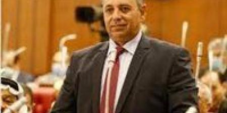 إرادة جيل عن قرار الأمم المتحدة بالاعتراف بالدولة الفلسطينية: خطوة لإنهاء الاحتلال وإحلال العدل والسلام - هرم مصر