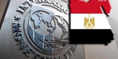 مصر تواصل الإصلاحات الاقتصادية مع صندوق النقد وتستعد للمراجعات قبل ديسمبر 2025 - هرم مصر