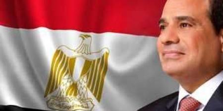الرئيس السيسى يؤكد على ضرورة الاستمرار فى العمل بنظام سعر صرف مرن - هرم مصر