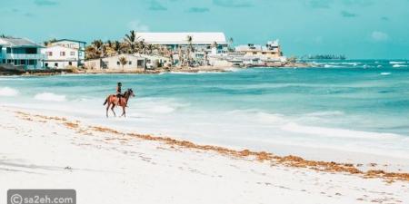 أفضل 10 أماكن لركوب الخيل في العالم: من الصحاري إلى الشواطئ - هرم مصر