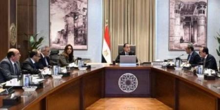 الحكومة: مراكز إيواء للحيوانات الضالة بالمحافظات بعيدا عن الكتلة السكنية - جريدة هرم مصر