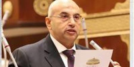 النائب أشرف عبد الغني: هدفنا الحفاظ على الطابع الاجتماعي للخدمة الصحية وضمان عدم تحولها إلى سلعة تخضع فقط لمنطق الربح - جريدة هرم مصر