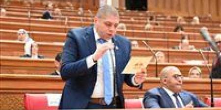 النائب أحمد جبيلي: رسائل الرئيس في دافوس خارطة عمل للحكومة لدعم القطاع الخاص ودفع الاستثمارات لقطاع الصحة - جريدة هرم مصر