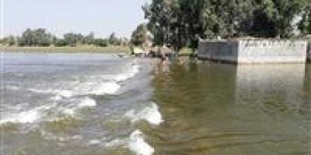 نهر النيل بين السياسة والقانون| رد قوي لسامح شكري لاتفاق المبادئ والسد - جريدة هرم مصر