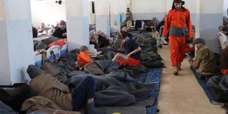 عمليات نقل معتقلي "داعش" من سوريا إلى العراق (تفاصيل) - جريدة هرم مصر