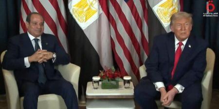 على هامش منتدى دافوس.. تفاصيل لقاء الرئيس السيسي وترامب «فيديو» - جريدة هرم مصر