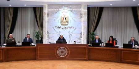 الحكومة توافق على تدريس منهج البرمجة والذكاء الاصطناعى لطلاب التعليم الفنى - جريدة هرم مصر