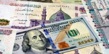 الأخضر بكام؟.. سعر الدولار اليوم مقابل الجنيه المصري الأربعاء 21-1-2026 - جريدة هرم مصر