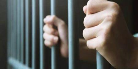 السجن المؤبد للمتهمين بالإتجار في المخدرات بالقليوبية - جريدة هرم مصر