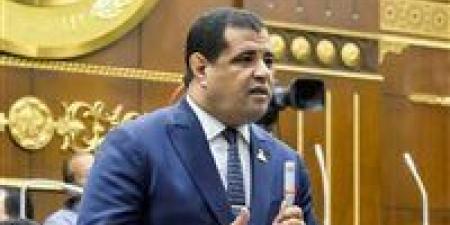 عضو بالشيوخ : لقاء الرئيس السيسي وترامب يعكس الدور المحوري لمصر - جريدة هرم مصر