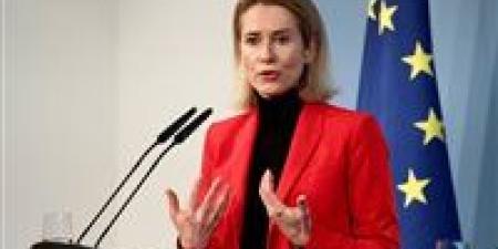 أوروبا تترقب مجلس سلام غزة وتتنفس الصعداء بعد اتفاق إطاري بشأن جرينلاند - جريدة هرم مصر