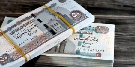 اليوم.. صرف مرتبات شهر يناير 2026 لجميع العاملين بالدولة | تفاصيل - جريدة هرم مصر