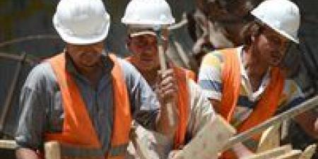 اقتصادي: توطين الصناعة بوابة مصر للسيادة الاقتصادية - جريدة هرم مصر