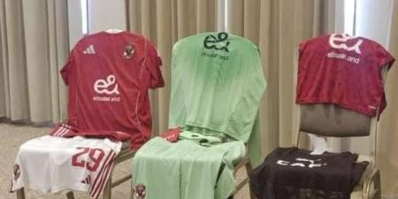 تفاصيل الاجتماع الفني لمباراة الأهلي ويانج أفريكانز في دوري أبطال أفريقيا - جريدة هرم مصر