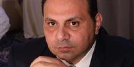 شعبة المصدرين: منصة «مصر التجارية» نقلة نوعية لدعم المصدرين وتعزيز النفاذ للأسواق الخارجية - جريدة هرم مصر