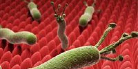 جرثومة المعدة تكشف أسرارها: الأسباب وأفضل طرق لعلاجها - جريدة هرم مصر