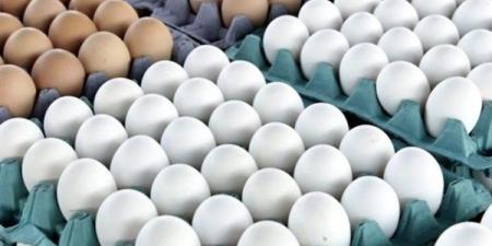 سعر كرتونة البيض للمستهلك اليوم الجمعة 23 يناير 2026.. البلدي بـ 130 جنيهًا - جريدة هرم مصر