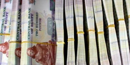 قضايا بـ 11 مليون جنيه.. مواصلة الحملات الأمنية ضد تجار العملة الأجنبية - جريدة هرم مصر