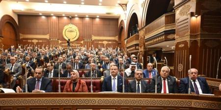 تمويل ذوى الإعاقة.. دراسة برلمانية توصى بصندوق دعم لضمان استمرارية السياسات - جريدة هرم مصر