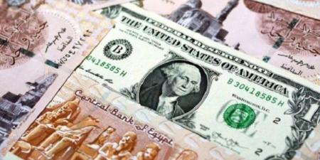 الجنيه يقاوم التراجع.. سعر الدولار في مصر اليوم الأحد 25 يناير 2026 - جريدة هرم مصر