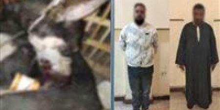 ضبط شخصين احتجزا كلب والتعدي عليه في القاهرة - جريدة هرم مصر