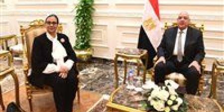 رئيسة المجلس القومي للمرأة تقدم التهنئة للمستشار هشام بدوي - جريدة هرم مصر