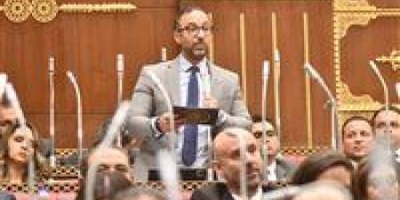 الحمامصي يقترح إشراك القطاع الخاص في معاهد التمريض لسد العجز ورفع كفاءة المنظومة الصحية - جريدة هرم مصر