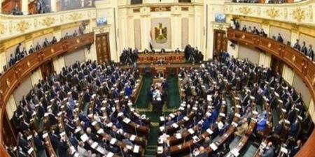 النواب المصري يعلن إعداد قانون جديد لتنظيم استخدام الأطفال مواقع التواصل الاجتماعي - جريدة هرم مصر