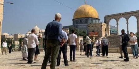 عشرات المستعمرين يقتحمون الأقصى المبارك في حماية شرطة الاحتلال الإسرائيلي - جريدة هرم مصر