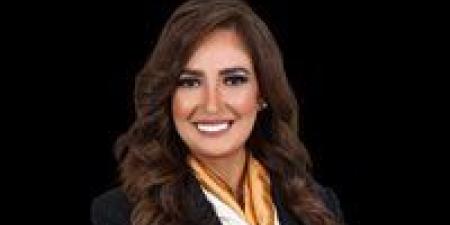 بعد تصريحات الرئيس السيسي.. طلب إحاطة من النائبة أميرة العادلي بسبب انتهاكات إعلامية لحقوق الأطفال - جريدة هرم مصر