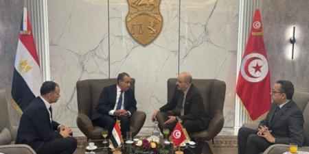 وزير الخارجية يصل إلى مطار قرطاج للمشاركة في الاجتماع الثلاثي حول ليبيا - جريدة هرم مصر