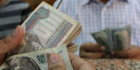 البنك الأهلي المصري.. عوائد استثمار 100 ألف جنيه في شهادات الادخار - جريدة هرم مصر