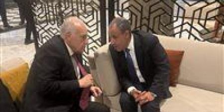 وزير الخارجية لـ نظيره الجزائري: نرفض أي تدخلات خارجية في ليبيا - جريدة هرم مصر