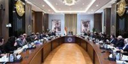 رئيس الوزراء يستعرض موقف توافر الأدوية وسداد مستحقات شركات الدواء - جريدة هرم مصر