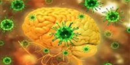 فيروس "نيباه" يصير الرعب في الهند.. إصابات وحالات حرجة بين الأطباء والممرضين - جريدة هرم مصر