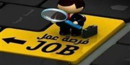 وزارة العمل تعلن عن 100 وظيفة جديدة.. قدم الآن - جريدة هرم مصر