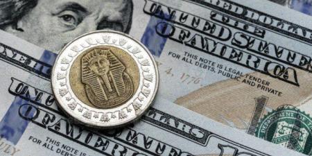سعر الدولار مقابل الجنيه اليوم الاثنين 26 يناير 2026.. في البنك المركزي بكام؟ - جريدة هرم مصر