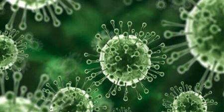 بعد انتشاره في عدد من الدول.. ما هي أعراض فيروس نيباه وطرق الوقاية والعلاج؟ - جريدة هرم مصر