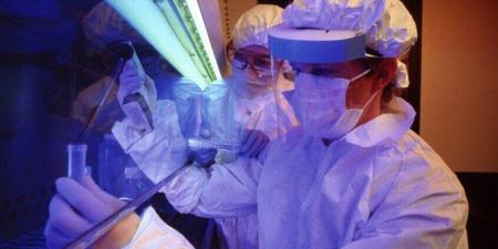 للمرة الأولى.. الذكاء الاصطناعي يصمّم فيروسات حية وفعّالة داخل المختبر - جريدة هرم مصر