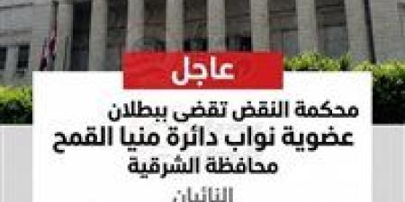 علاء قنديل لـ "تحيا مصر": محكمة النقض تبطل عضوية نواب دائرة منيا القمح والمجلس ليس سيد قراره - جريدة هرم مصر