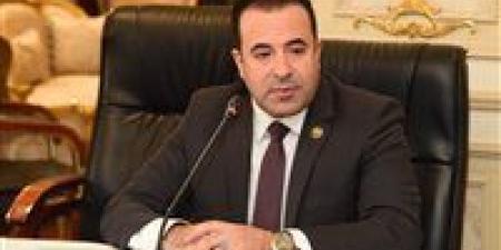 أحمد بدوي: قانون جديد لتنظيم استخدام الأطفال لمواقع التواصل الاجتماعي - جريدة هرم مصر