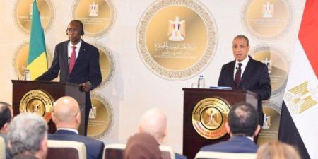 مباحثات مصرية سنغالية لتعزيز الشراكة الاستراتيجية ودعم جهود التنمية في القارة الأفريقية - جريدة هرم مصر