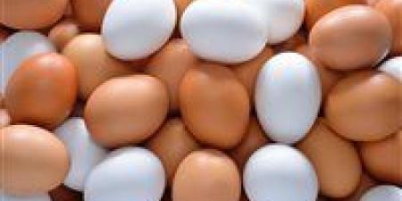 زيادة وصلت إلى 25 جنيه.. ارتفاع أسعار البيض بالأسواق - جريدة هرم مصر