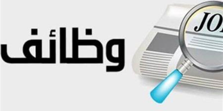 برواتب 13 ألف جنيه شهريا.. وزارة العمل تعلن عن فرص لسائقين في دمياط - جريدة هرم مصر