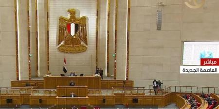 رئيس خارجية الشيوخ :تحركات للقاء بمسئولين بالكونجرس والاتحاد الأوروبي لمناقشة عددا من القضايا - جريدة هرم مصر