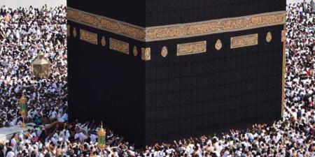 "الصحة": 58 خدمة طبية متنوعة للحجاج المصريين خلال أول يومين للبعثة الطبية بالأراضي السعودية - جريدة هرم مصر