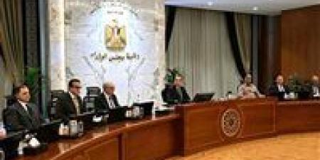 الوزراء: معدلات نمو الاقتصاد في الربع الثالث من العام المالي الحالي فاقت توقعاتنا - جريدة هرم مصر