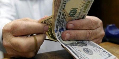 الودائع بالعملة الأجنبية في البنوك التجارية المصرية تحلق أعلى 65 مليار دولار - جريدة هرم مصر