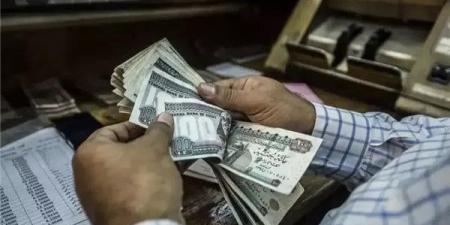 الهيئة القومية للتأمين الاجتماعي تكشف موعد الانتهاء من تراكمات تعطل السيستم - جريدة هرم مصر
